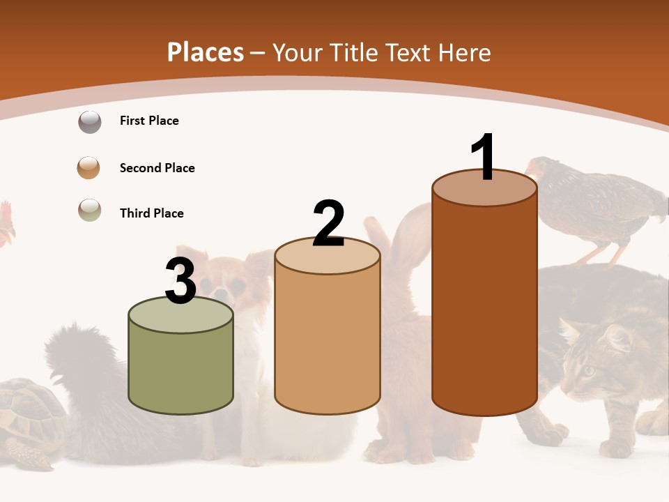 Rabbit Isolated Bird PowerPoint Template