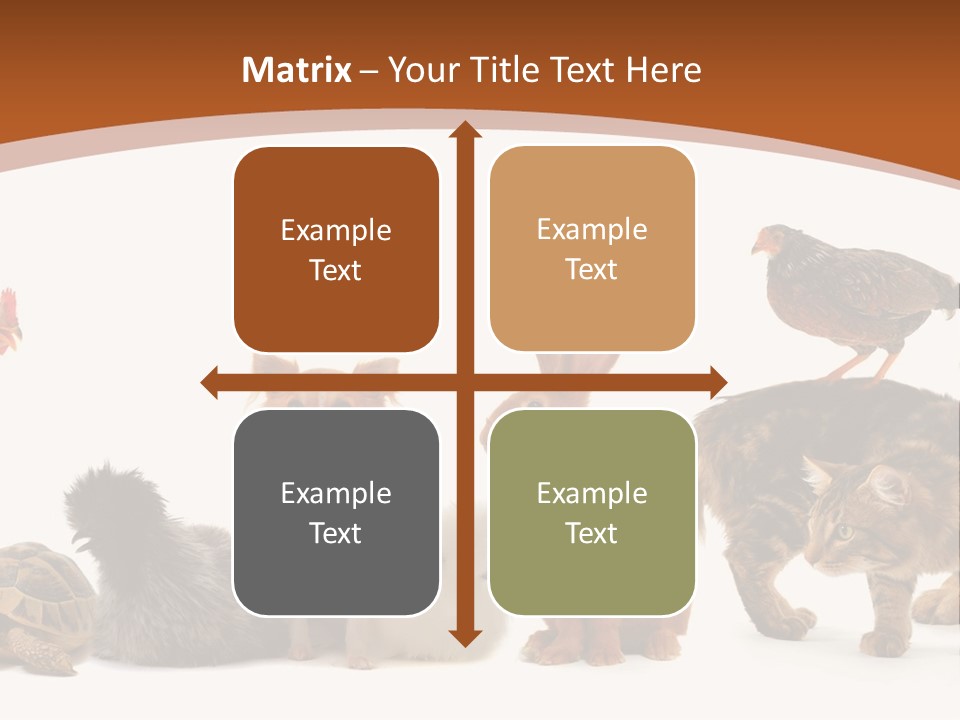 Rabbit Isolated Bird PowerPoint Template