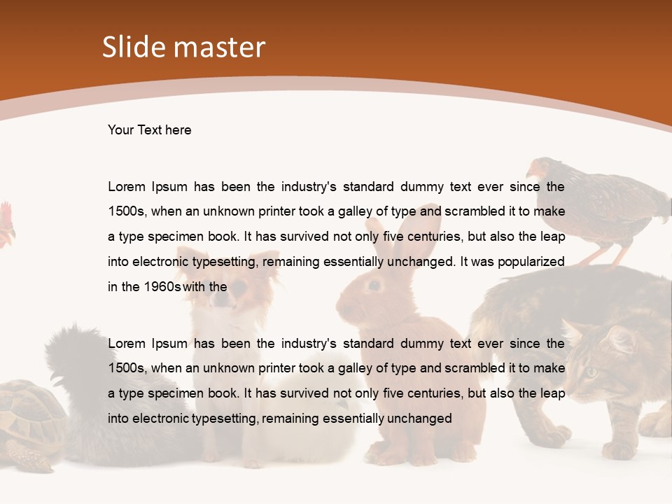 Rabbit Isolated Bird PowerPoint Template