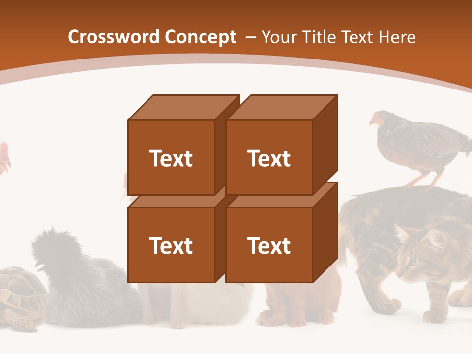 Rabbit Isolated Bird PowerPoint Template