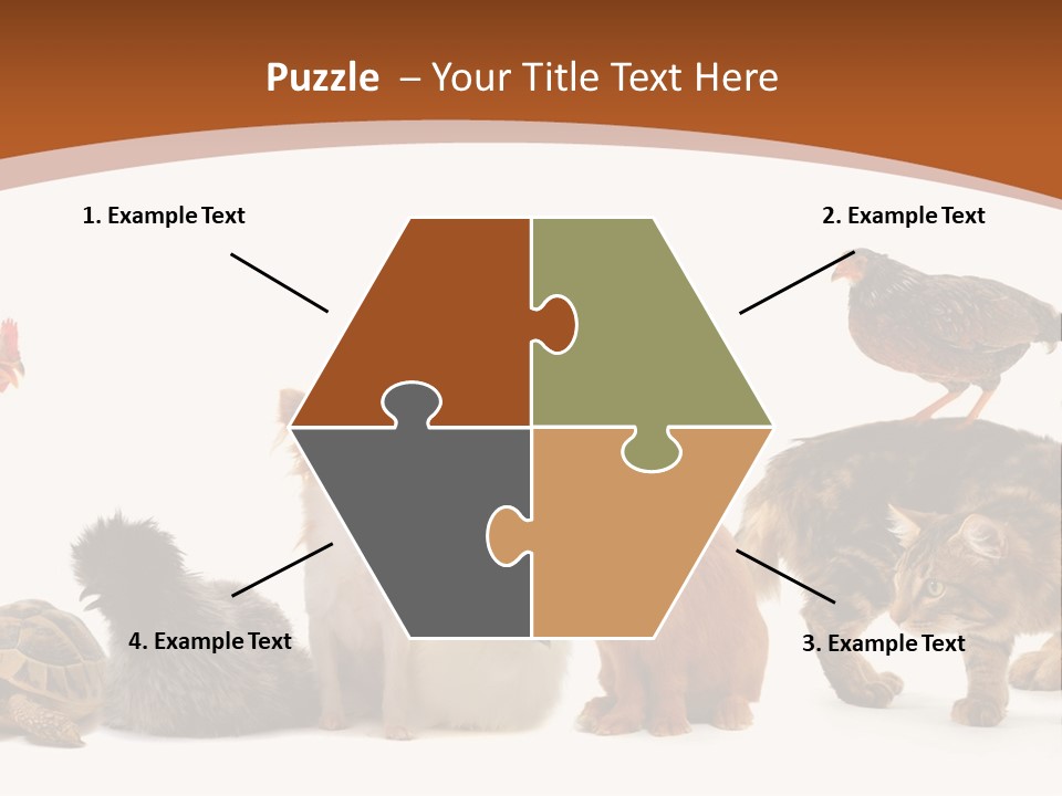 Rabbit Isolated Bird PowerPoint Template