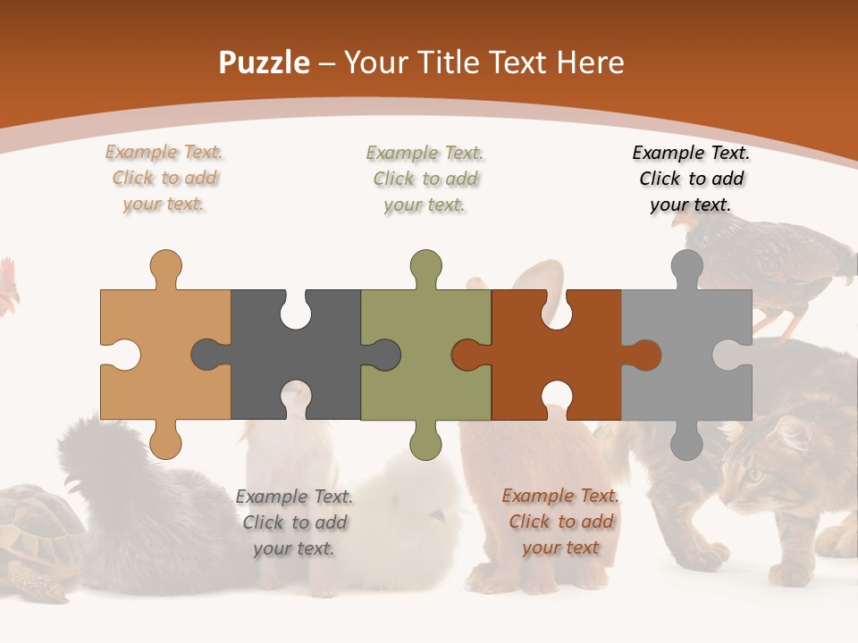 Rabbit Isolated Bird PowerPoint Template