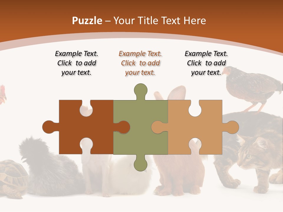 Rabbit Isolated Bird PowerPoint Template