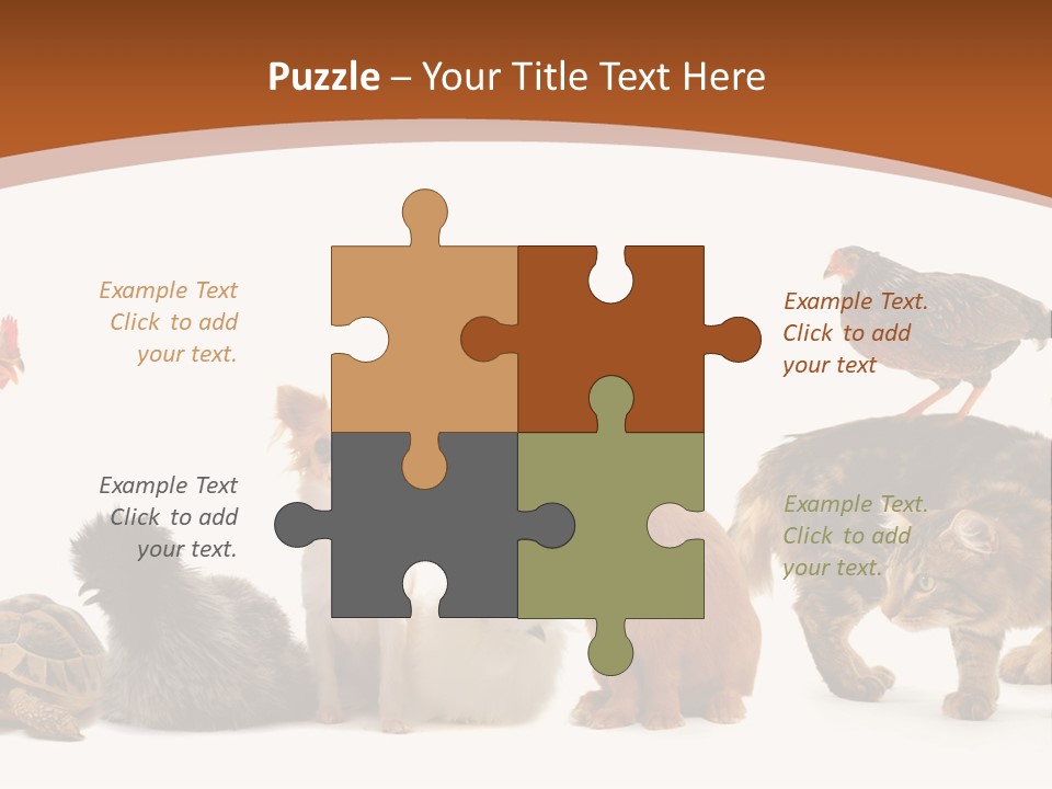 Rabbit Isolated Bird PowerPoint Template