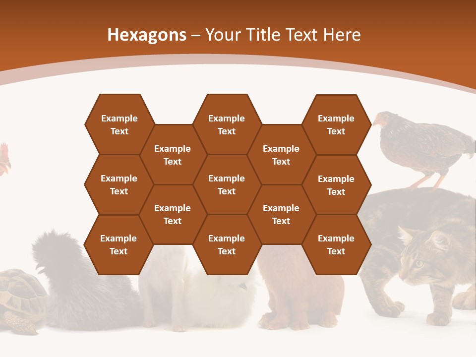 Rabbit Isolated Bird PowerPoint Template