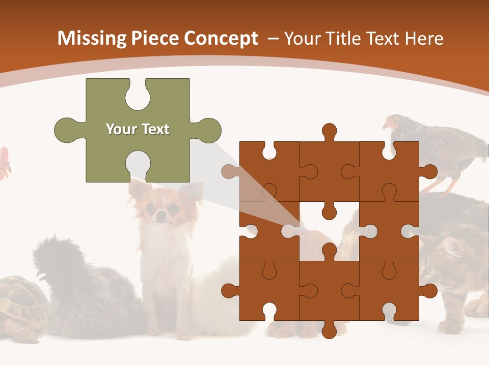 Rabbit Isolated Bird PowerPoint Template