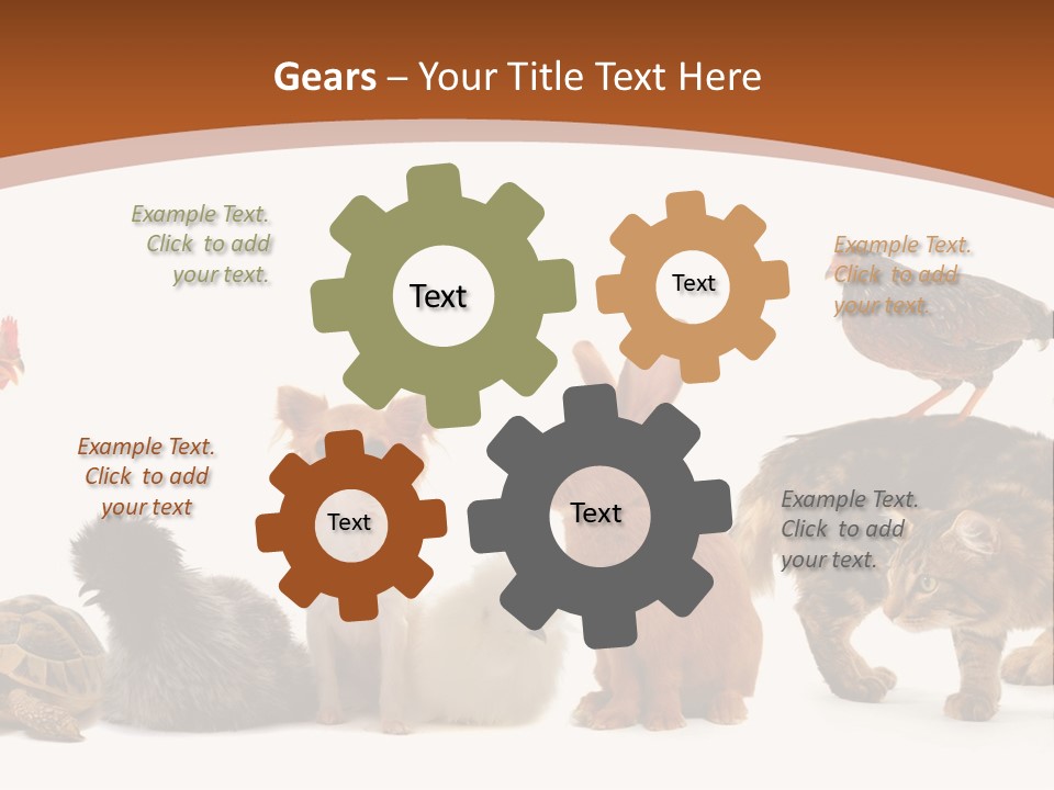 Rabbit Isolated Bird PowerPoint Template