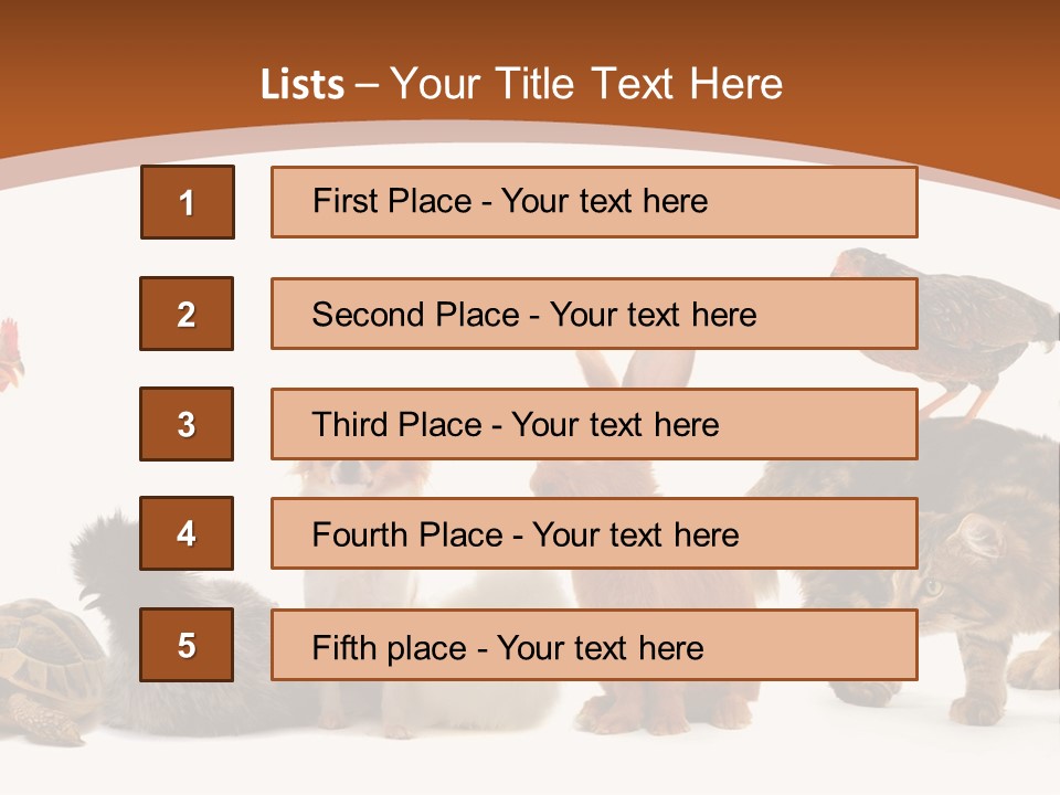 Rabbit Isolated Bird PowerPoint Template
