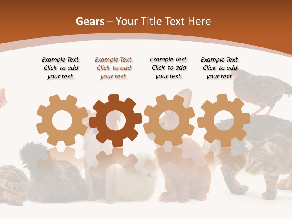 Rabbit Isolated Bird PowerPoint Template