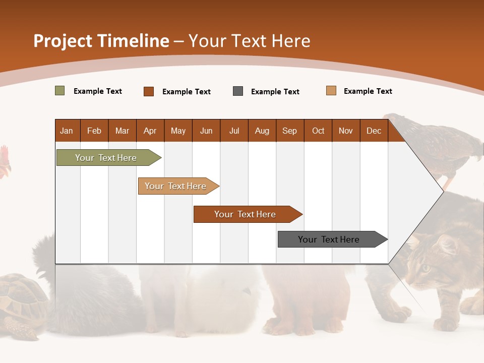 Rabbit Isolated Bird PowerPoint Template