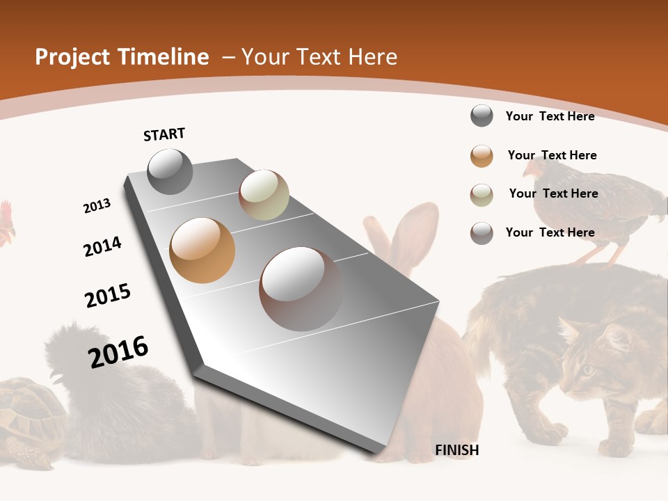 Rabbit Isolated Bird PowerPoint Template