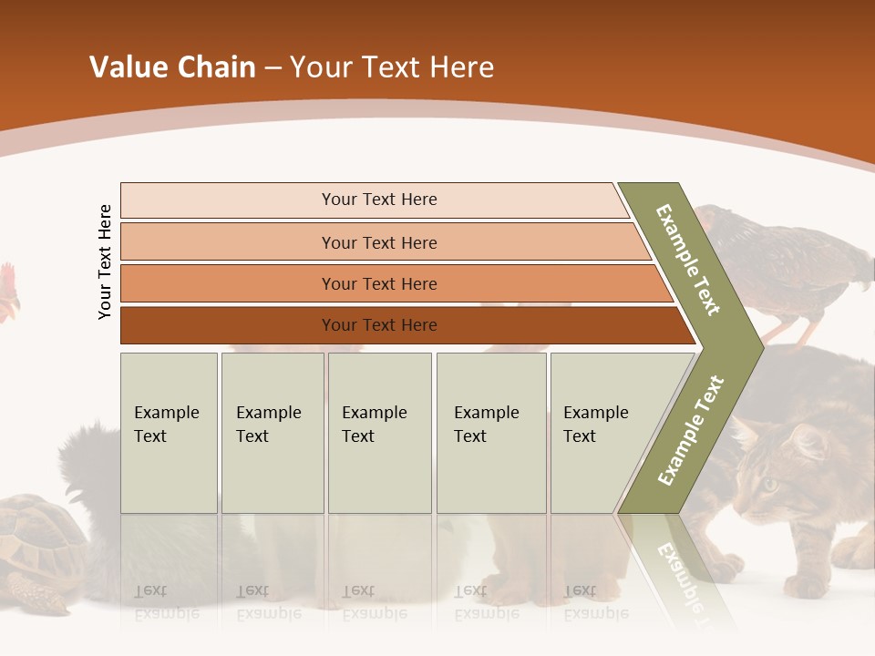 Rabbit Isolated Bird PowerPoint Template