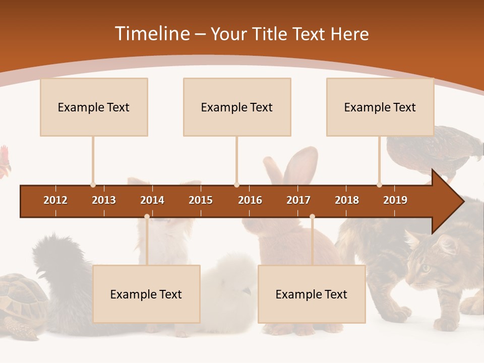 Rabbit Isolated Bird PowerPoint Template