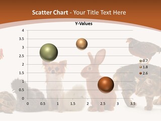 Rabbit Isolated Bird PowerPoint Template