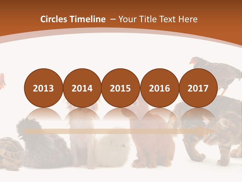 Rabbit Isolated Bird PowerPoint Template