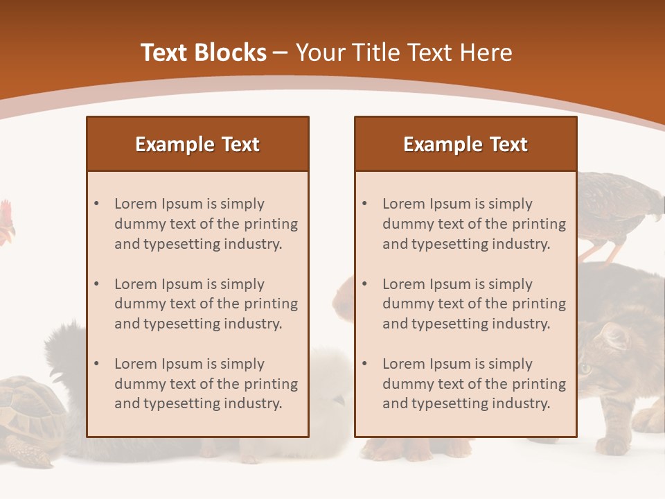 Rabbit Isolated Bird PowerPoint Template