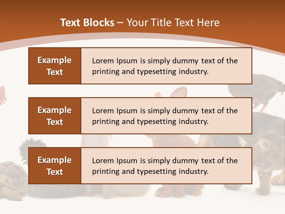 Rabbit Isolated Bird PowerPoint Template