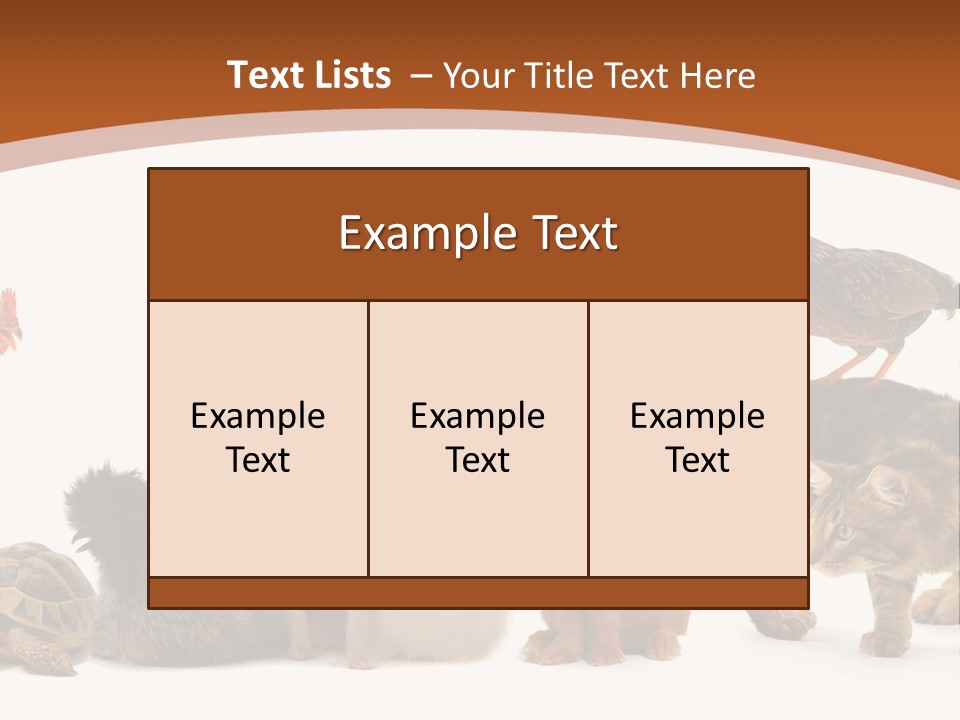 Rabbit Isolated Bird PowerPoint Template