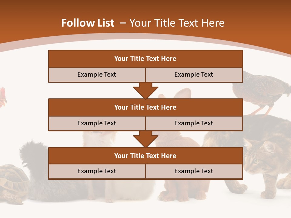Rabbit Isolated Bird PowerPoint Template