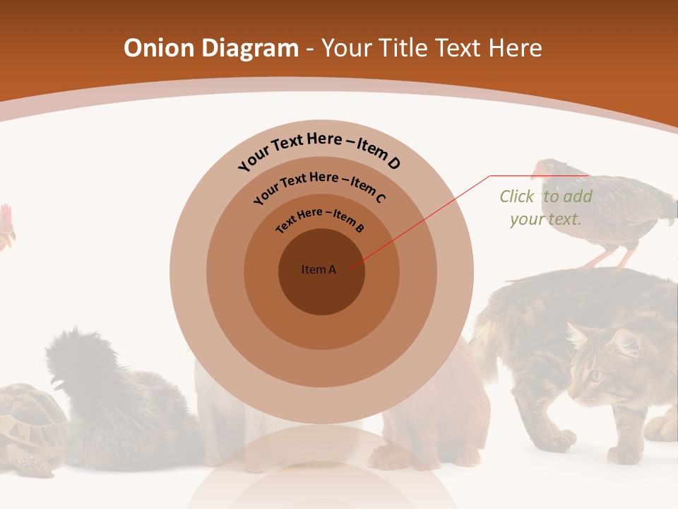 Rabbit Isolated Bird PowerPoint Template