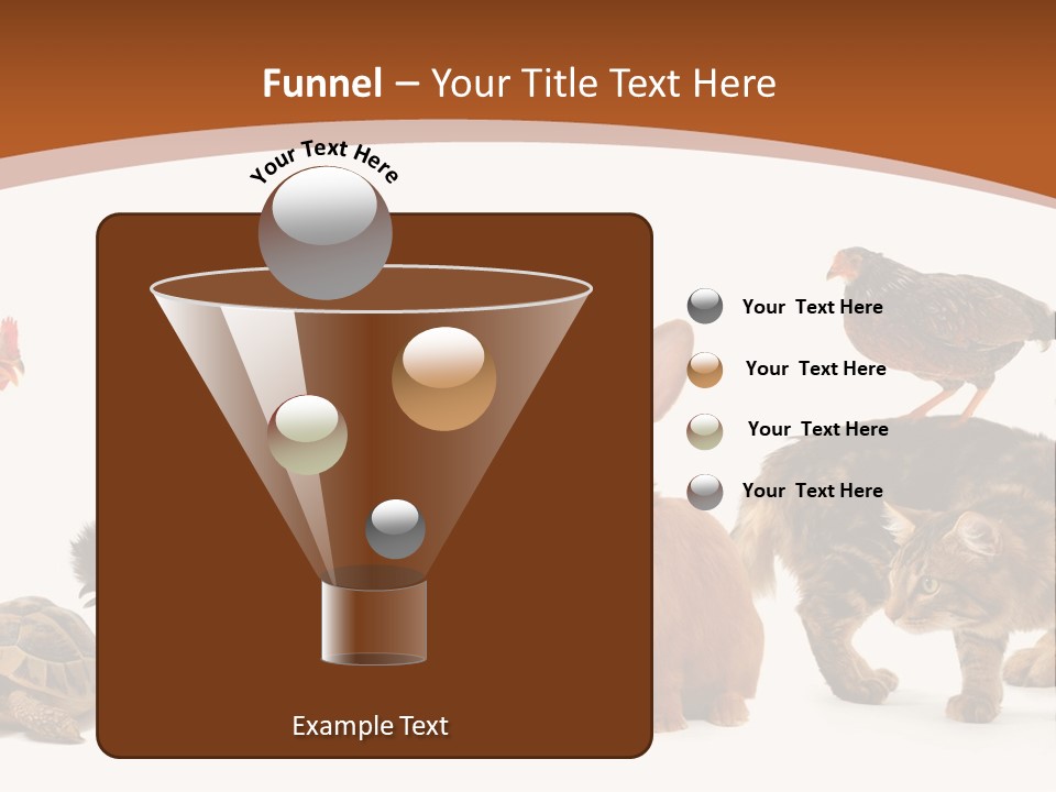 Rabbit Isolated Bird PowerPoint Template