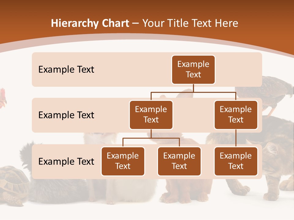 Rabbit Isolated Bird PowerPoint Template