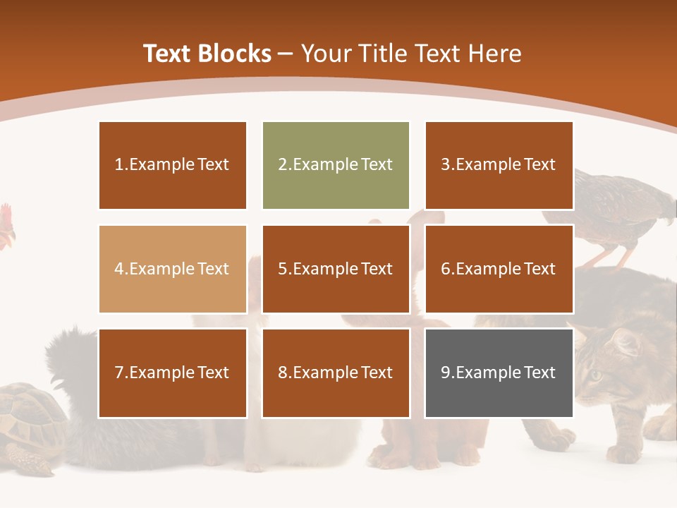 Rabbit Isolated Bird PowerPoint Template