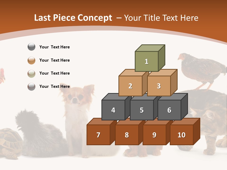 Rabbit Isolated Bird PowerPoint Template