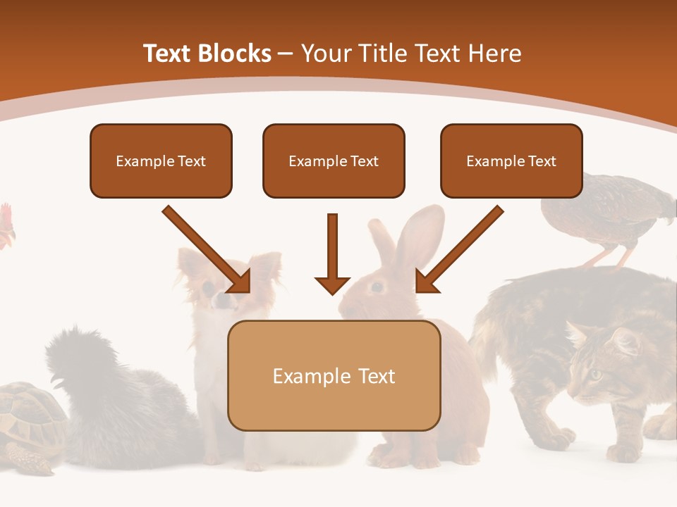 Rabbit Isolated Bird PowerPoint Template