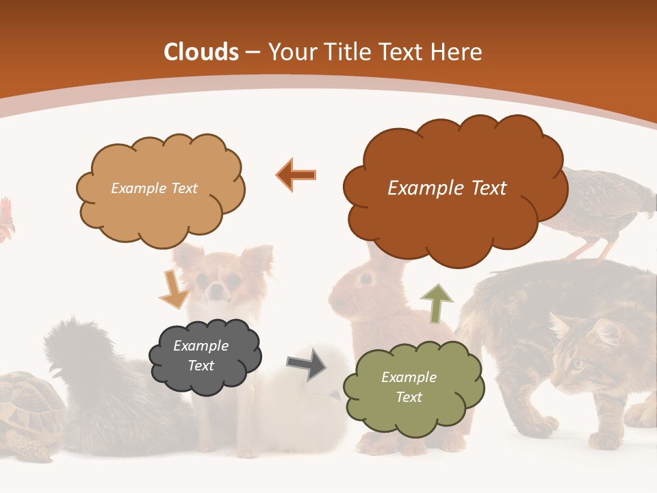 Rabbit Isolated Bird PowerPoint Template