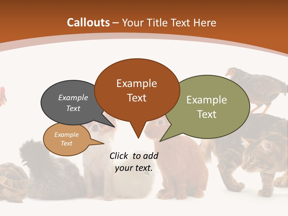 Rabbit Isolated Bird PowerPoint Template