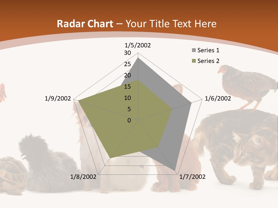 Rabbit Isolated Bird PowerPoint Template