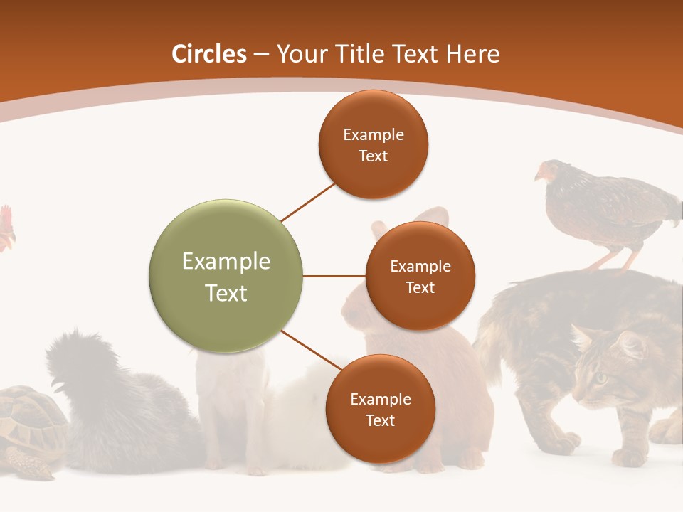 Rabbit Isolated Bird PowerPoint Template