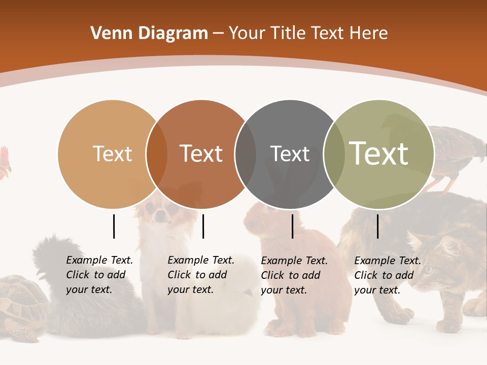 Rabbit Isolated Bird PowerPoint Template