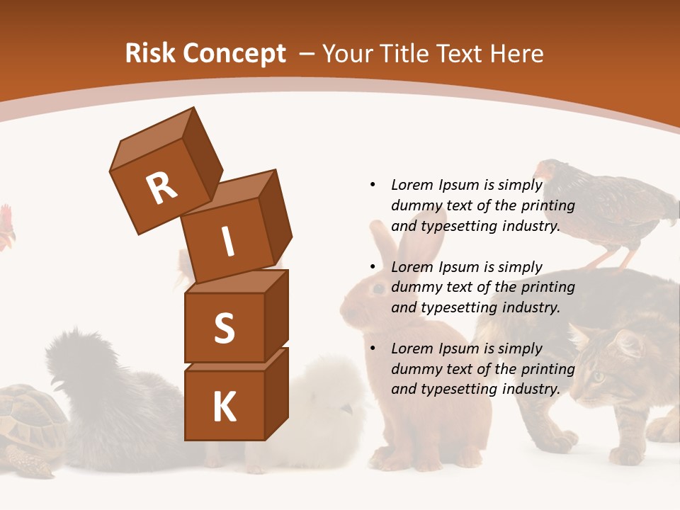 Rabbit Isolated Bird PowerPoint Template