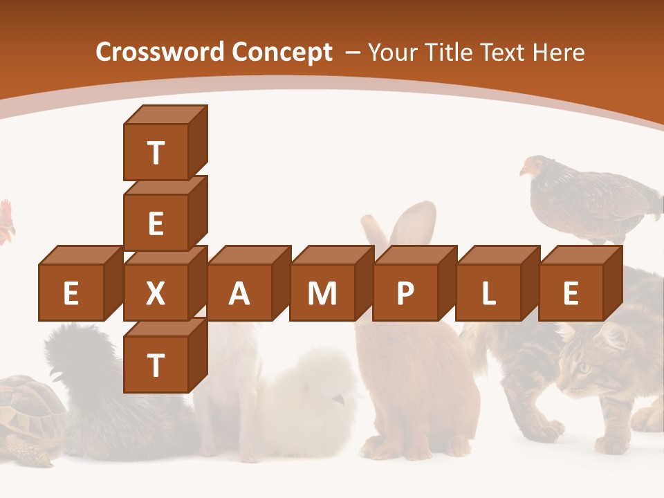 Rabbit Isolated Bird PowerPoint Template