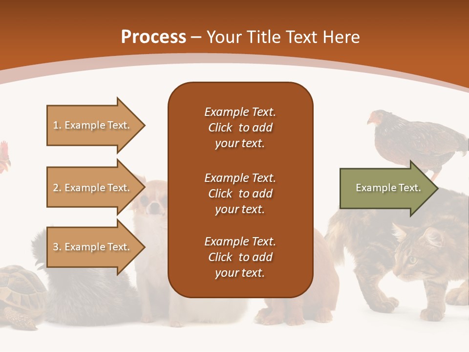 Rabbit Isolated Bird PowerPoint Template