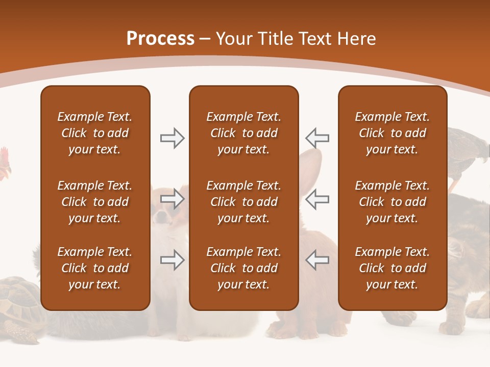 Rabbit Isolated Bird PowerPoint Template