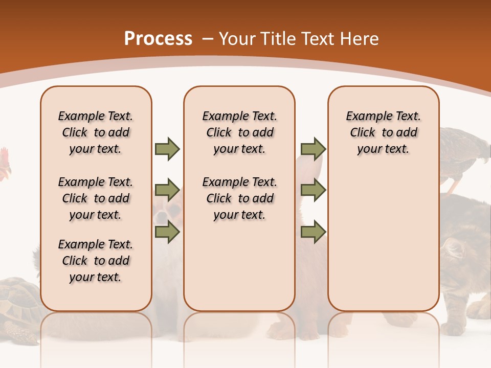Rabbit Isolated Bird PowerPoint Template