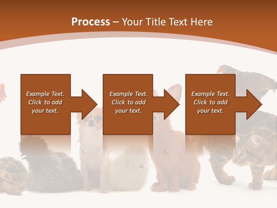 Rabbit Isolated Bird PowerPoint Template