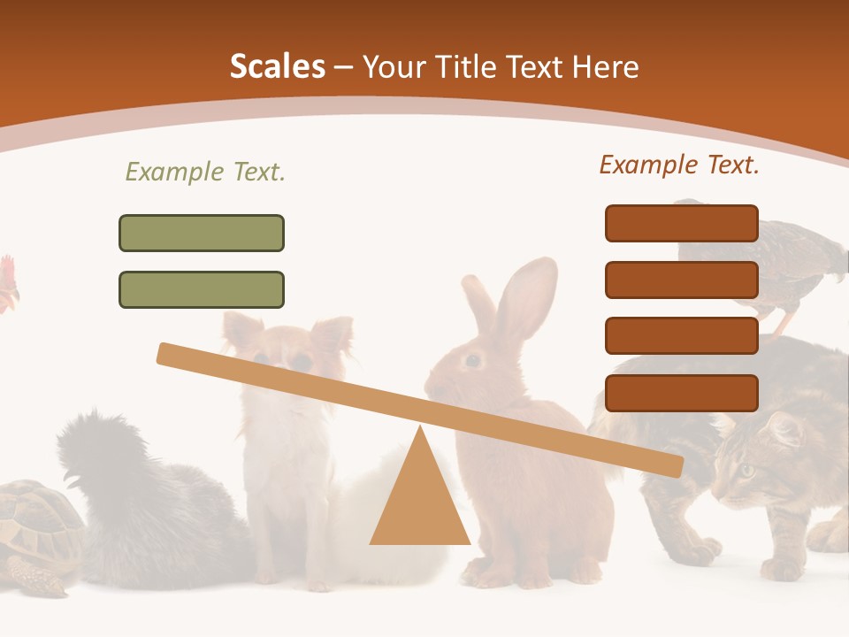 Rabbit Isolated Bird PowerPoint Template