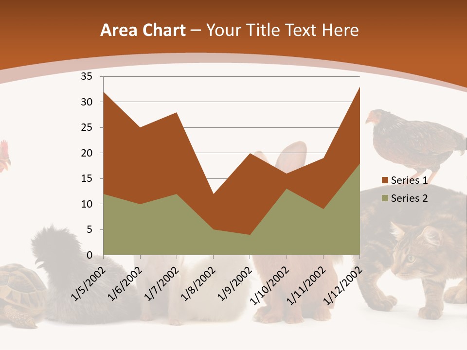 Rabbit Isolated Bird PowerPoint Template