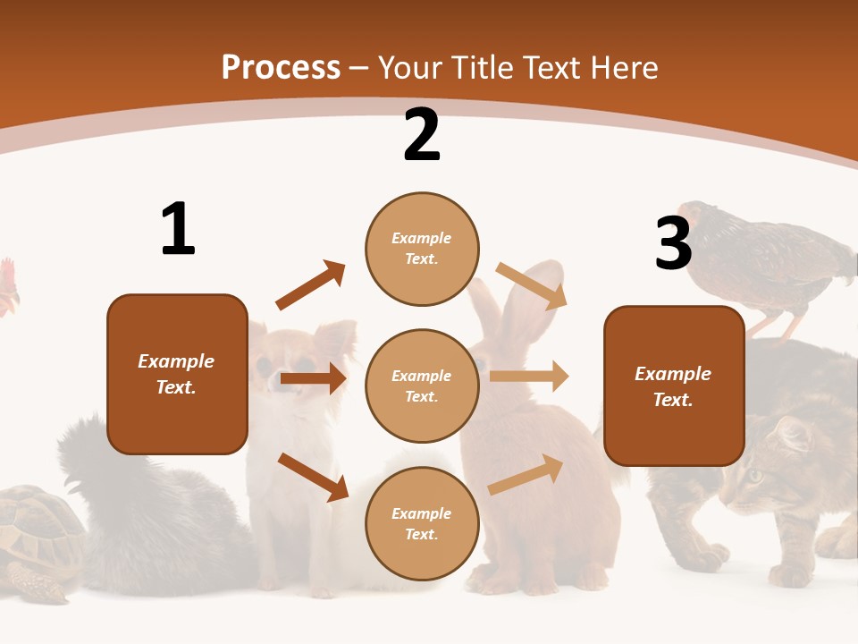 Rabbit Isolated Bird PowerPoint Template