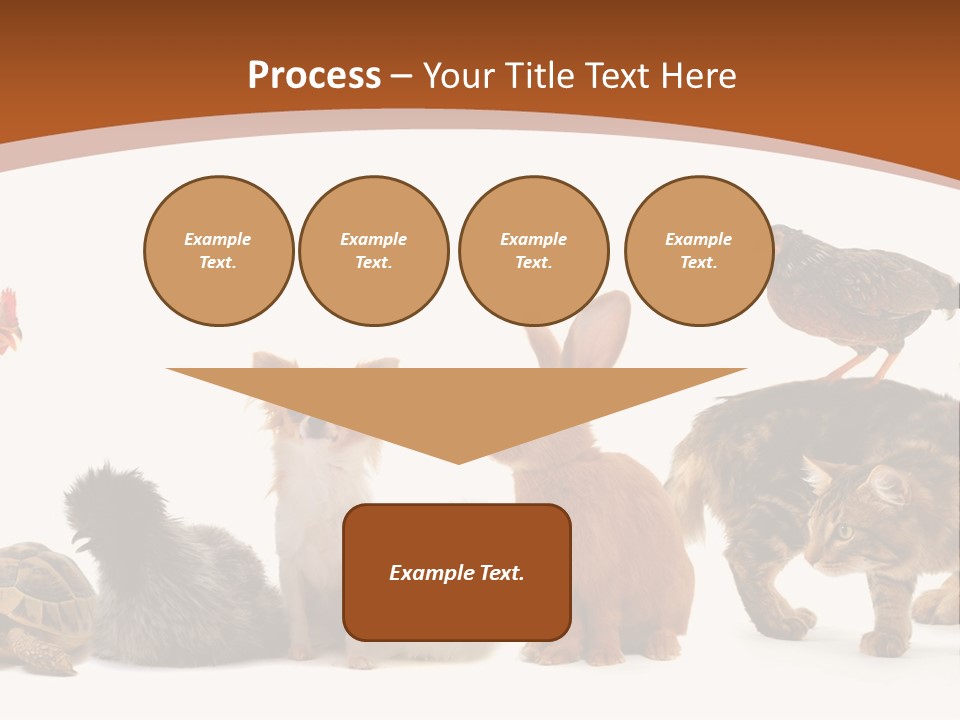 Rabbit Isolated Bird PowerPoint Template