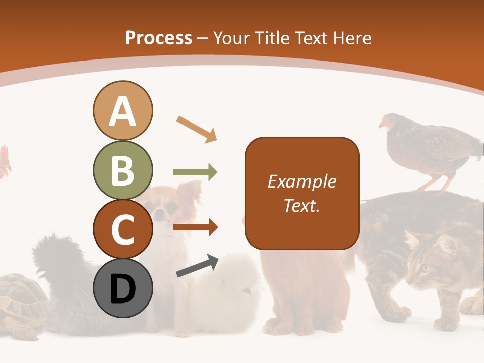 Rabbit Isolated Bird PowerPoint Template