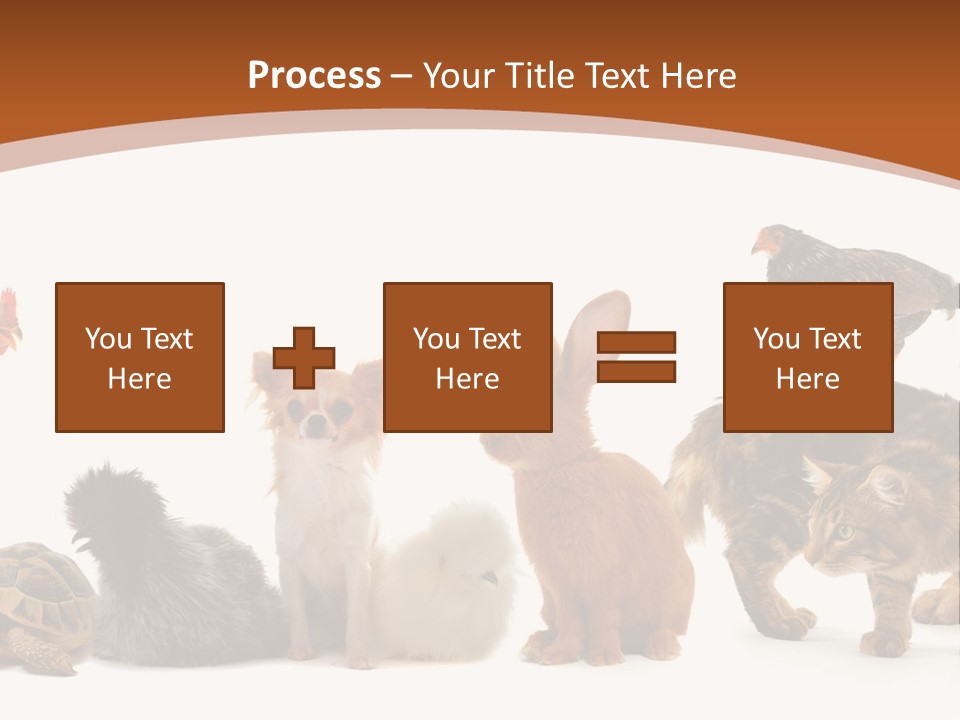 Rabbit Isolated Bird PowerPoint Template