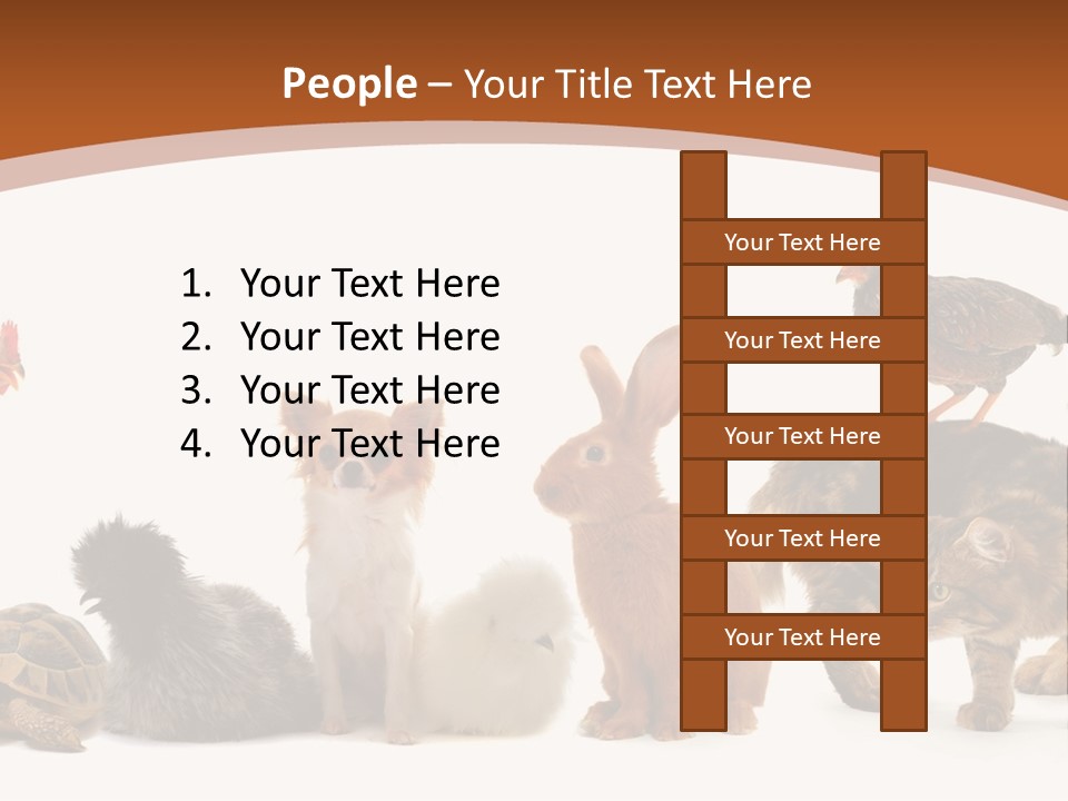 Rabbit Isolated Bird PowerPoint Template