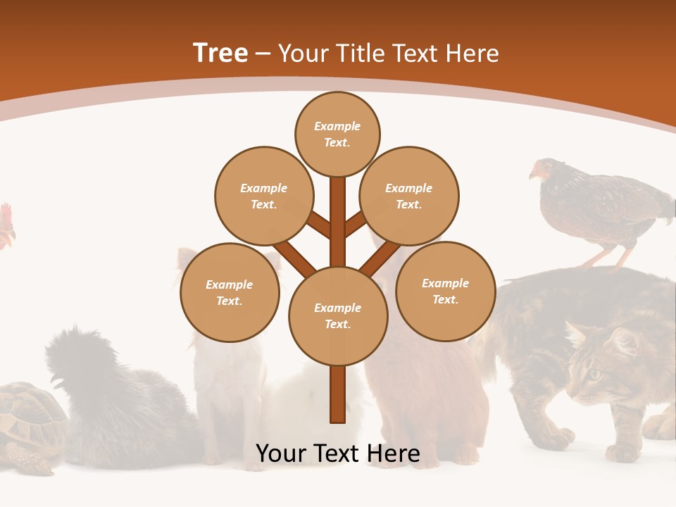 Rabbit Isolated Bird PowerPoint Template