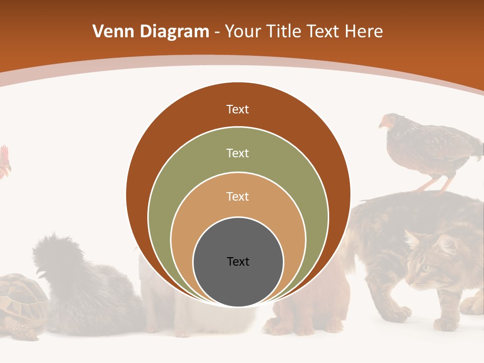 Rabbit Isolated Bird PowerPoint Template