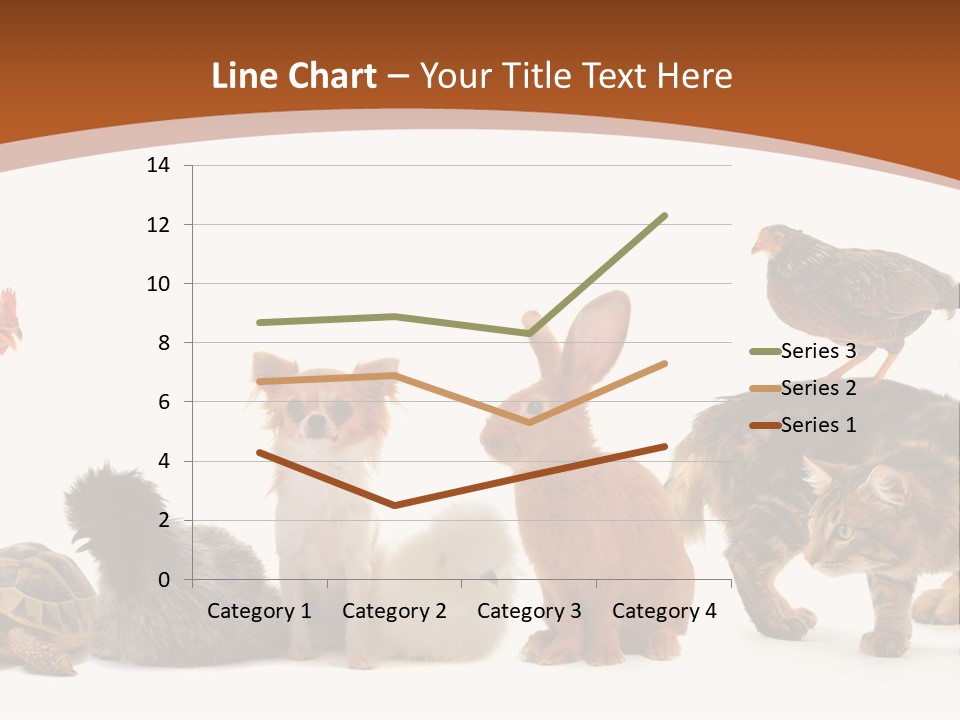 Rabbit Isolated Bird PowerPoint Template